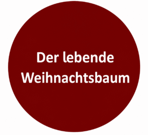 Der lebende Weihnachtsbaum